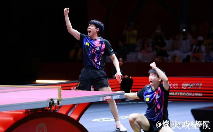 孙颖莎王楚钦伤退没有一片雪花是无辜的，乒乓商业化陷入两难困局